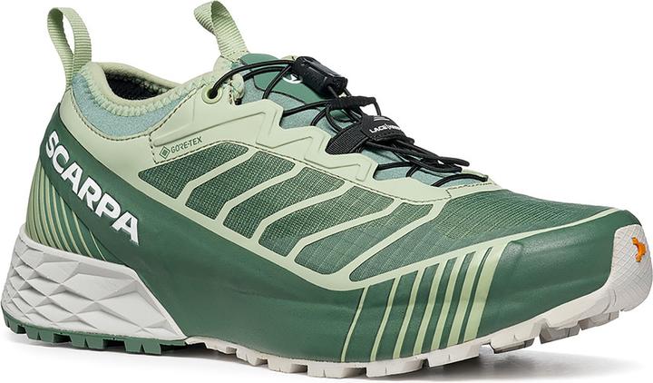 Image du produit Scarpa Ribelle Run GTX Wmn (41)