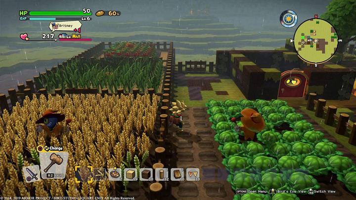 Actual product image Nintendo Dragon Quest Builders 2 (Switch, FR)