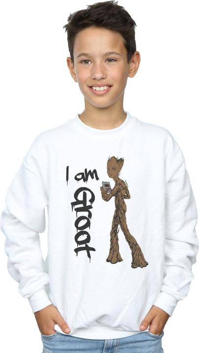 Actual product image Boys Avengers Infinity War Graffiti Groot Sweatshirt (140, 146)