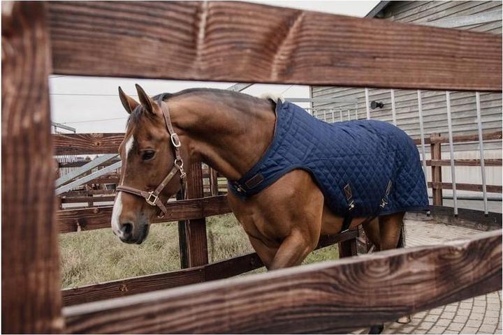 Immagine prodotto Kentucky Horsewear Coperta Walker 160g (155 cm)