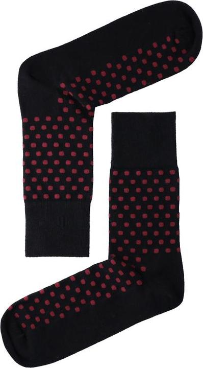 Lenz Longlife socks men