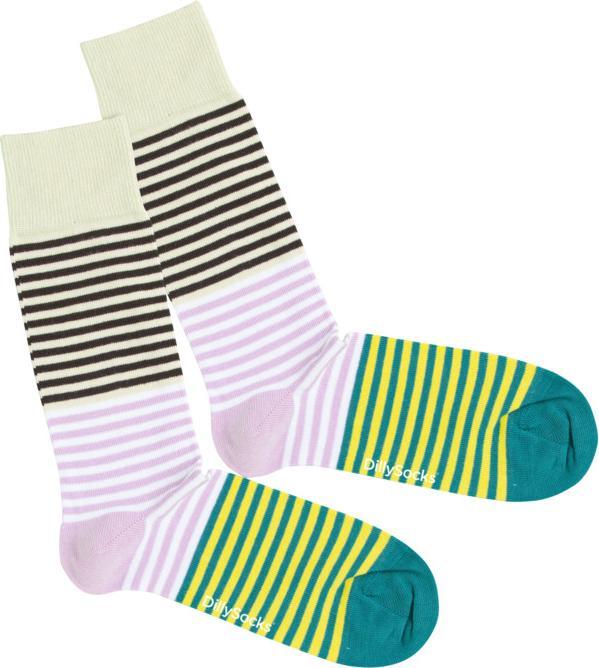 DillySocks Quattro Mation (Confezione singola, 36 - 40)