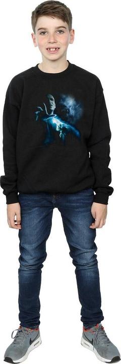 Produktbild Voldemort Shadow Sweatshirt Jungen (140, 146)