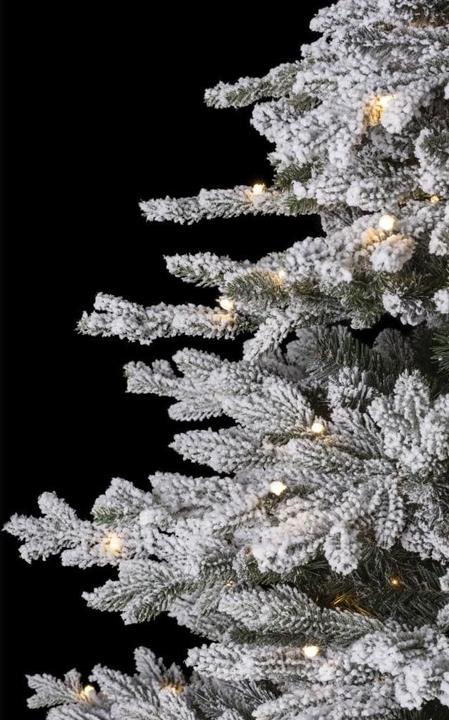 Produktbild STT Snowed Tree (220 cm)