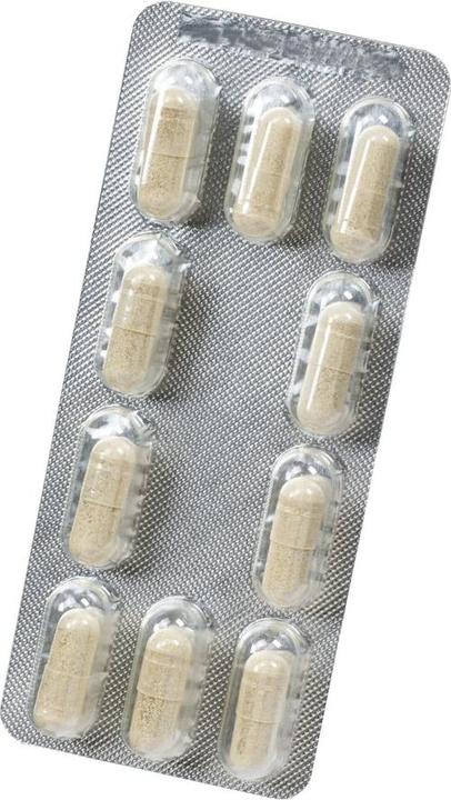 Produktbild Floradix Eisen und B 12 Vegan (1 Stück, Kapseln, 37 g)