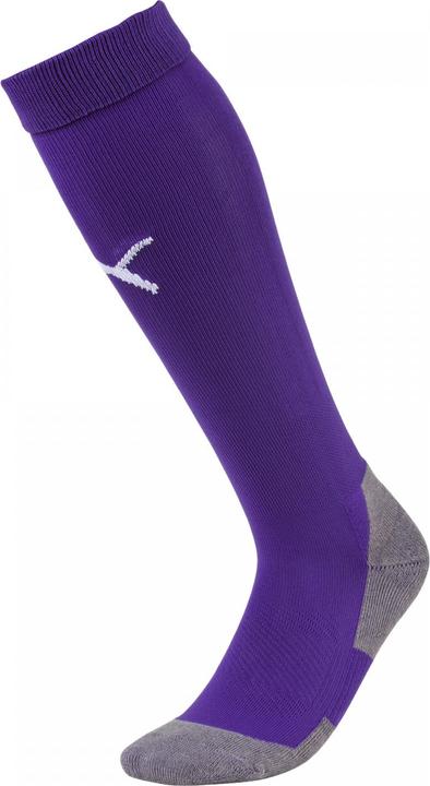 Actual product image Puma Team LIGA Socks CORE-703441 (43, 46)