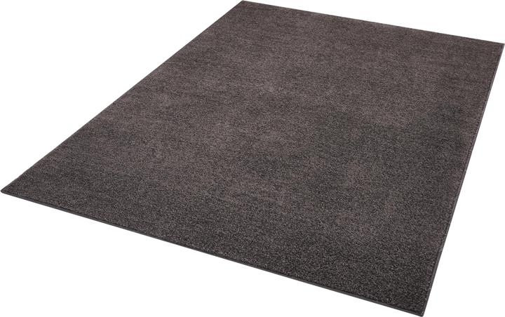 Actual product image Hanse Home Pure (240 x 160 cm)