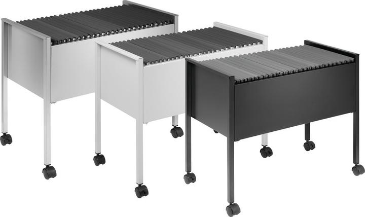 Immagine prodotto Durable CARRELLO PER CARTELLE SOSPESE ECONOMY 80 A4 1 PC 309501 (65,5 x 37 x 59,5 cm)