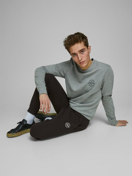 Image du produit Jack & Jones Gordon Sweathose (XXL)