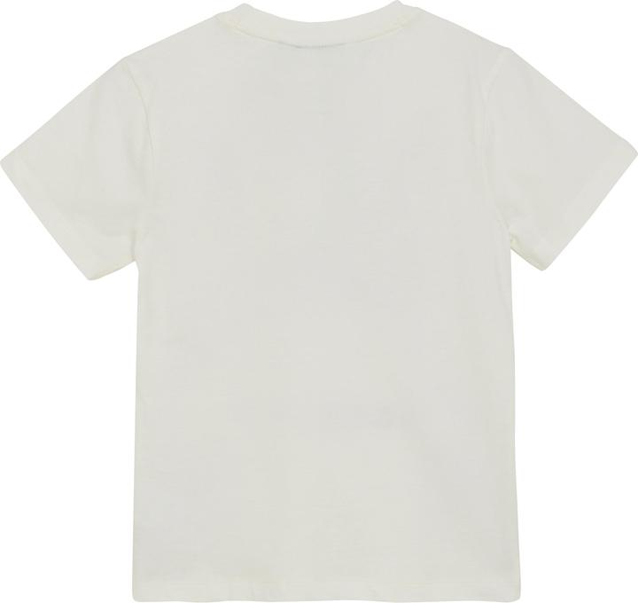 Actual product image Color Kids Kid's T-Shirt with Print S/S (164)