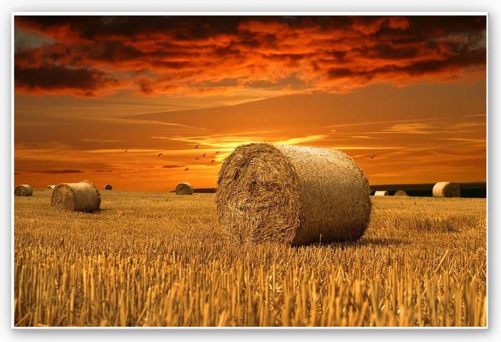 Image du produit Trenddeko Balle de paille (60 x 40 cm)