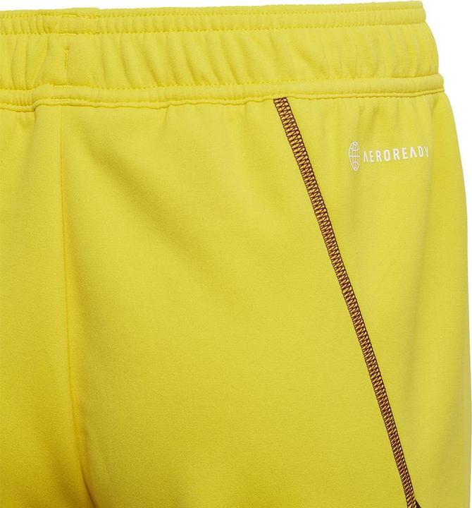 Actual product image adidas Tiro 23 Pro Goalkeeper Shorts (164)