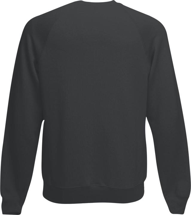 Actual product image Fruit of the Loom Mens Raglan Sleeve Belcoro® Sweatshirt (XL)