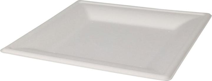 Einwegteller Quadrat 20cm, 8 Stk. (8 x)