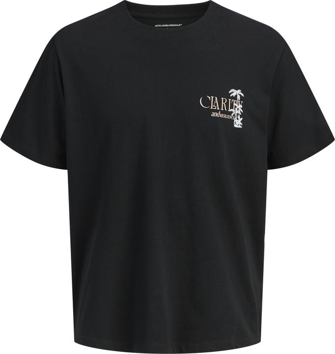 Produktbild Jack & Jones Jorbradley Clarity Tee Ss C.N Stmss25 (M)