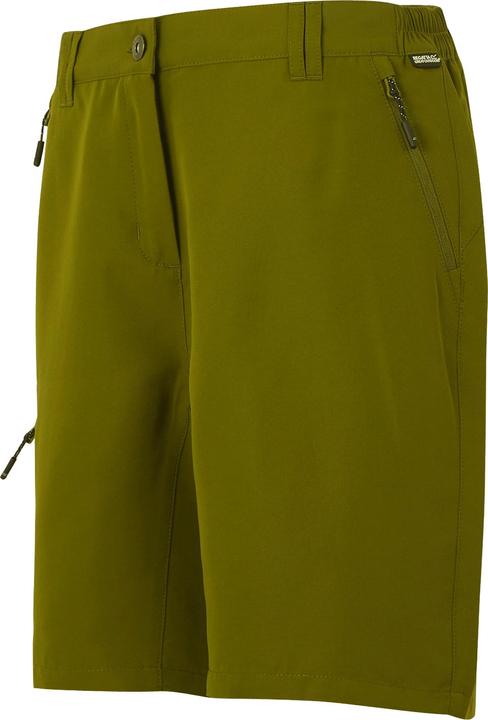 Actual product image Regatta Womens/Ladies Chaska III Walking Shorts (44 D)