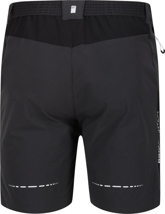 Actual product image Regatta Mens Mountain II Shorts (54 D)