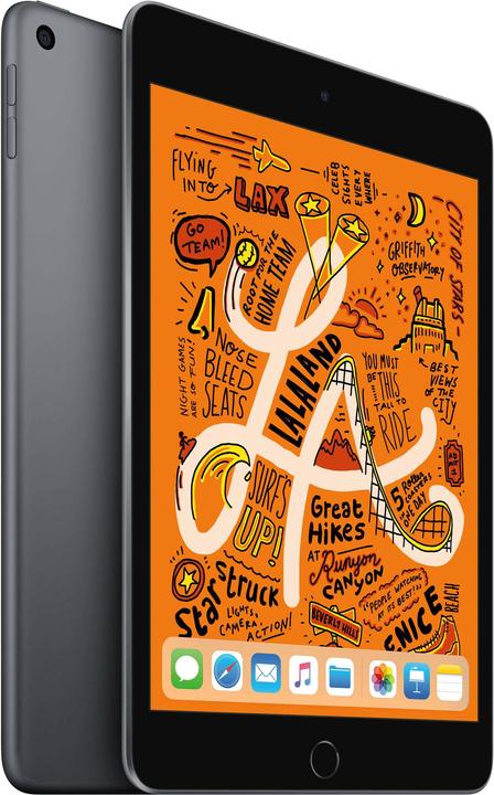 Produktbild Apple iPad mini 2019 (5. Gen) (nur WLAN, 7.90", 256 GB, Space Grey)