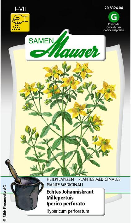 Actual product image Samen Mauser Echtes Johanniskraut (Plant seeds)