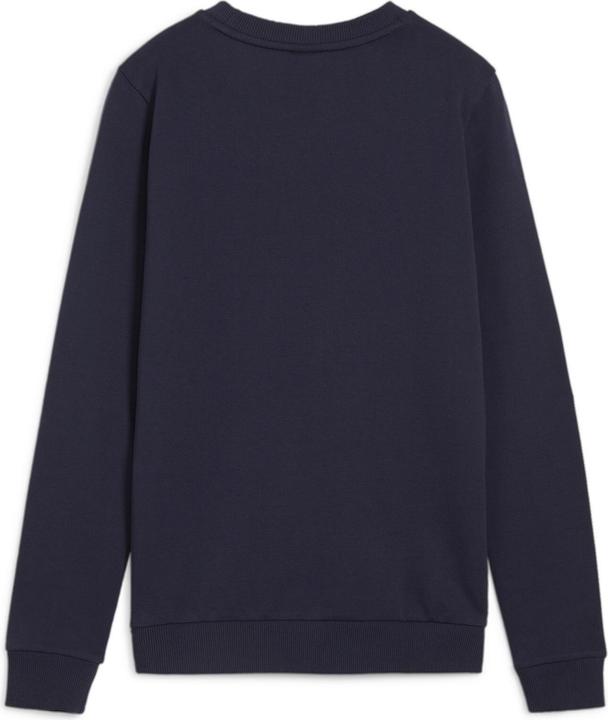 Actual product image Puma teamGOAL Casuals Crew Neck Sweat Wmn (XL)