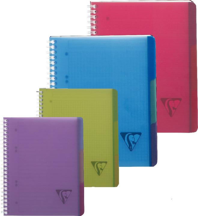 Actual product image Clairefontaine Linicolor Evolutive Book (A4+, Checked, Soft cover)