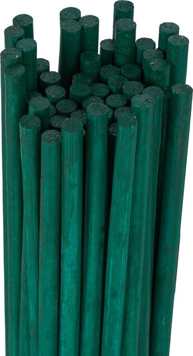 Productafbeelding Relaxdays 50x plantstokjes (50 cm, 50 cm)