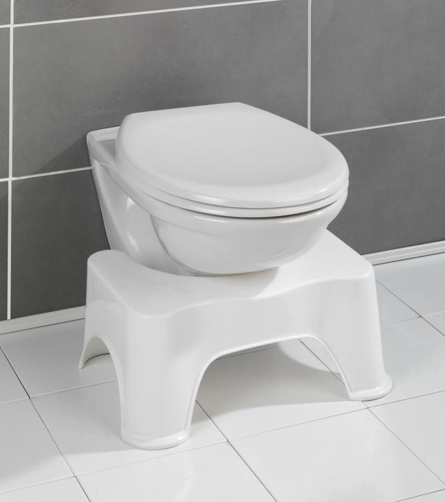 Actual product image Wenko Secura toilet stool