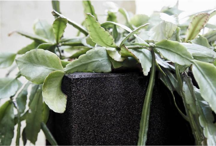 Immagine prodotto Capi Tutch Pot (30 cm)