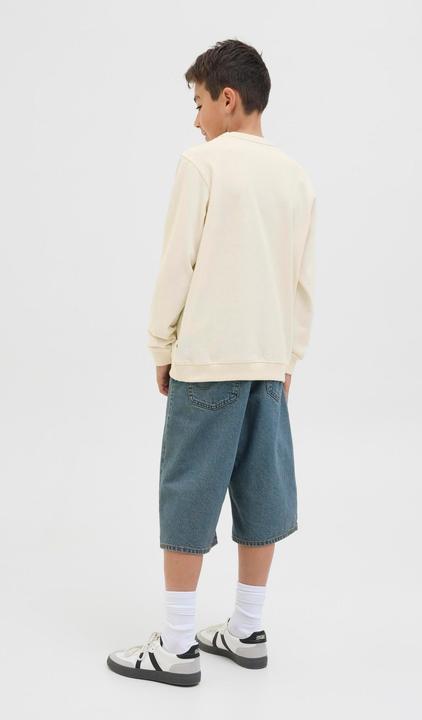 Produktbild Jack & Jones Gedruckt Sweatshirt Junior Sweatshirt (164)