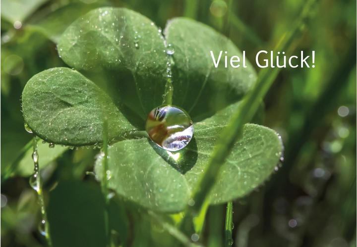 Produktbild Geburtstagskarte - Glücksklee (1 Stk.)