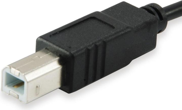 Productafbeelding equip USB 2.0 (5 m, USB 2.0)