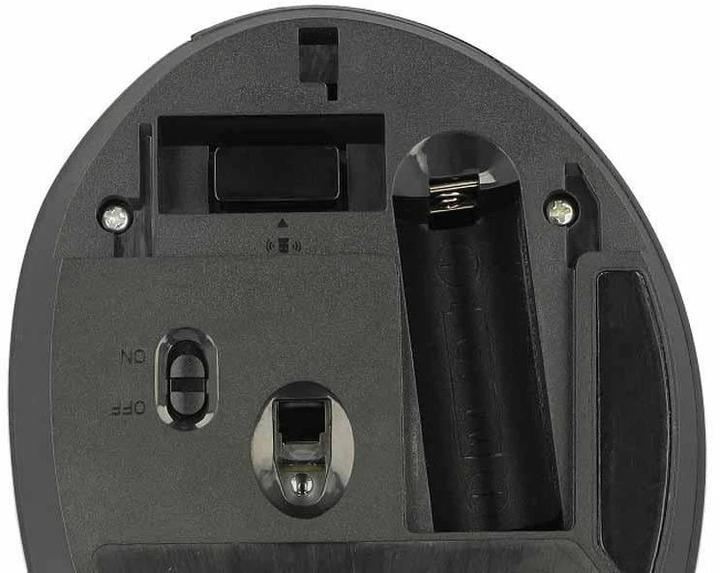 Actual product image Delock 12599 (Wireless)