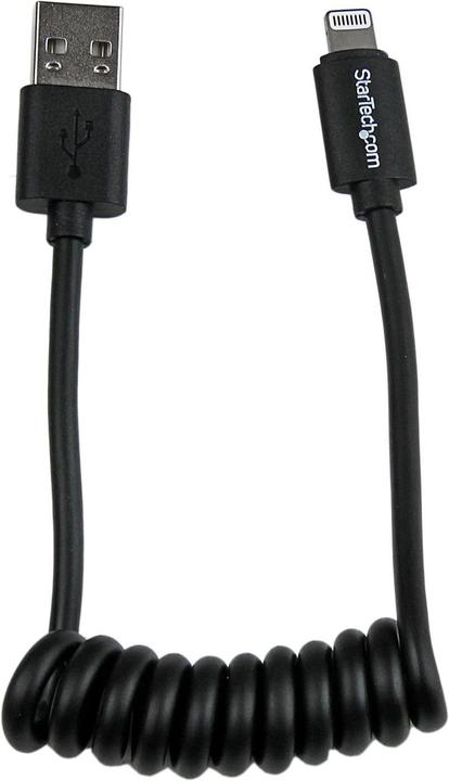 Actual product image StarTech Lightning on USB (0.30 m, USB 2.0)