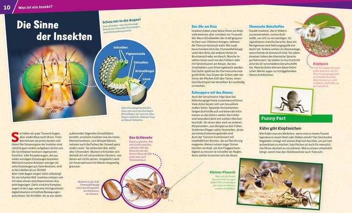 Actual product image Tessloff WAS IST WAS Band 30 Insekten. Überlebenskünstler auf sechs Beinen (German, Alexandra Rigos, 2018)