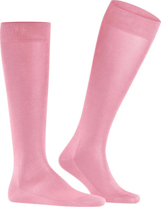 Image du produit Falke Tiago KH (45 - 46)