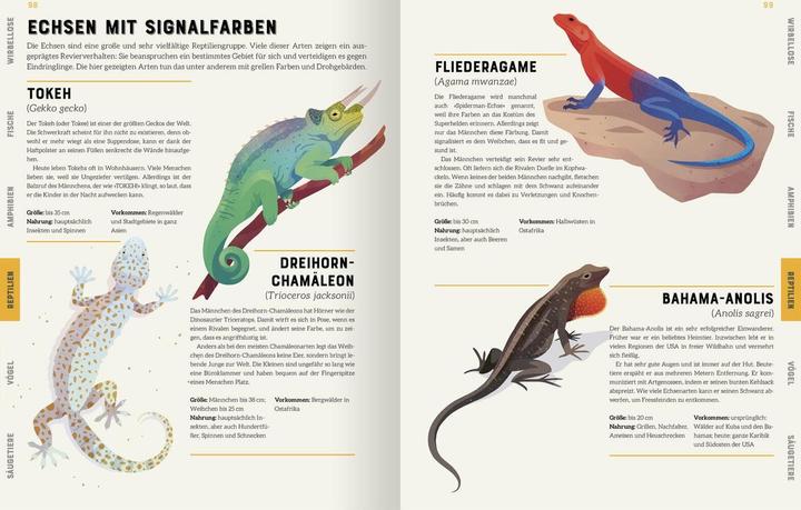 Produktbild Das grosse Lexikon der Tiere (Deutsch, Jules Howard, Andreas Jäger, Jarom Vogel, 2022)