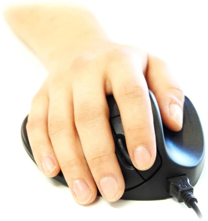 Actual product image Bakker Elkhuizen Hippus Handshoe (Cable)