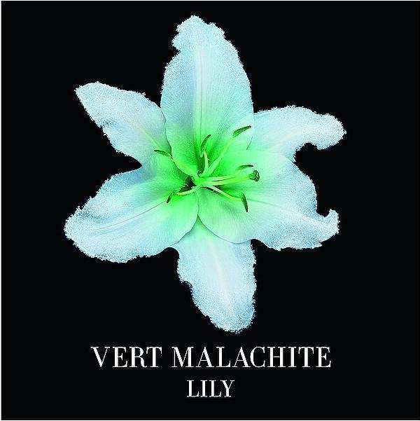 Produktbild Giorgio Armani Vert Malachite (Eau de Parfum, 50 ml)