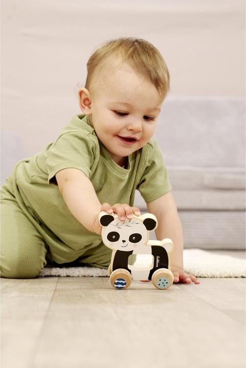Actual product image Eichhorn EH Panda Pusher