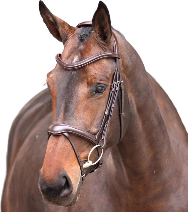 Actual product image Velociti Elite Leather Horse Flash Bridle
