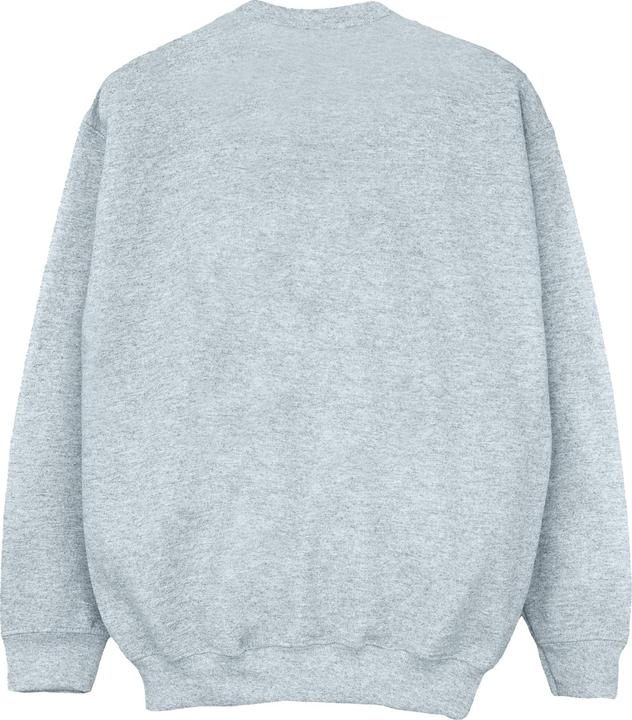 Actual product image Disney Boys The Lion King Colours Sweatshirt (140, 146)