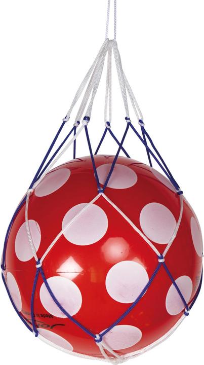 Magni Ballnetz für 1 Ball