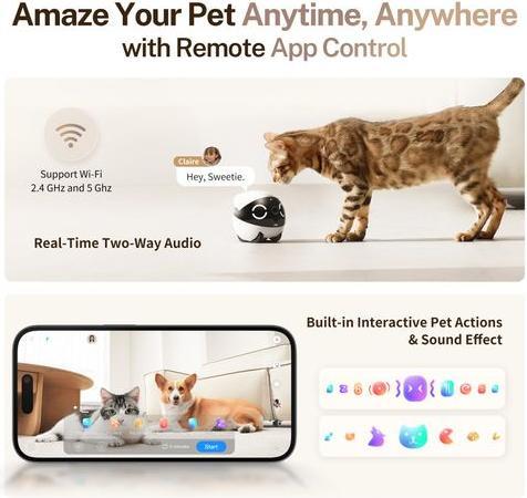 Produktbild Enabot Rola Mini Companion Robot (2304 x 1296 Pixels)
