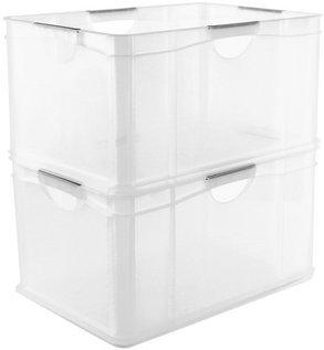 Rotho Systembox (39 x 29 x 22 cm, 2 l)