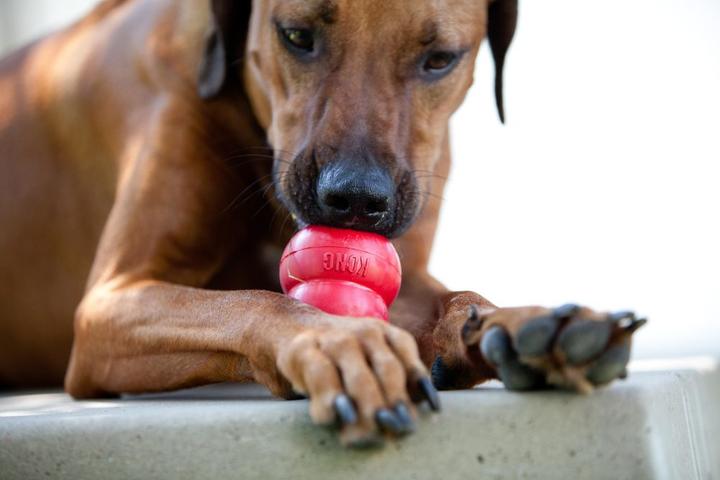 Produktbild KONG CLASSIC Hundespielzeug Naturkautschuk (Hundespielzeug)
