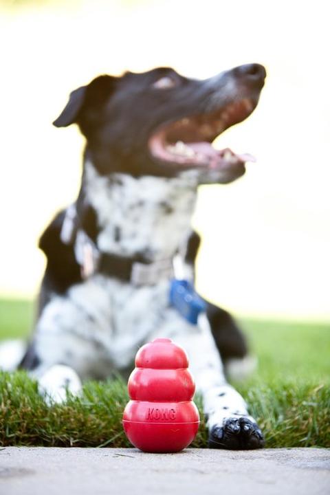 Produktbild KONG CLASSIC Hundespielzeug Naturkautschuk (Hundespielzeug)