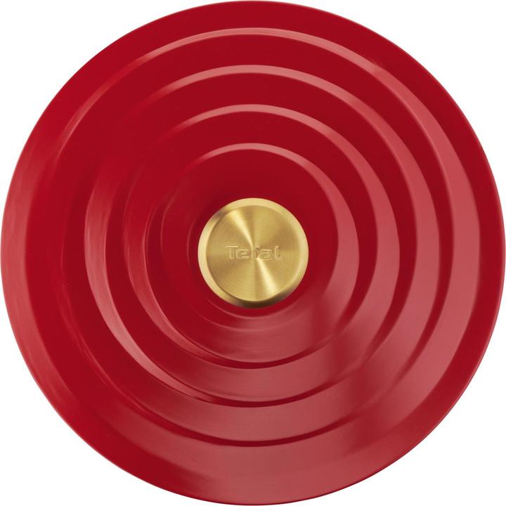 Productafbeelding Tefal E2544604 (24 cm, Steelpan, Gegoten aluminium)