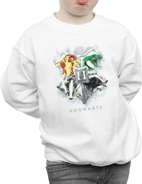 Image du produit - Sweat HOGWARTS PAINTED CREST - Garçon (128)