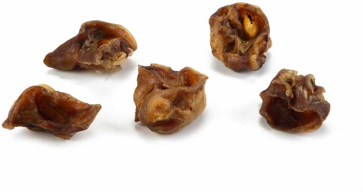 Immagine prodotto Beeztees Cozze dell'orecchio di maiale (1 pz., 300 g)