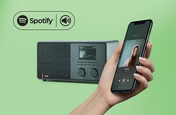 Immagine prodotto Pinell Supersuono 301 (Web radio, DAB, Bluetooth, WiFi)